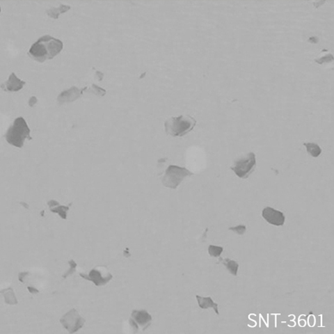 example-image
